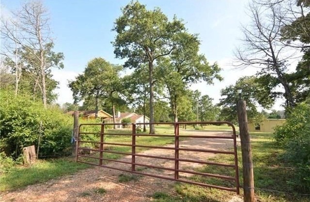 Sweet dream Hillcountry Cottage