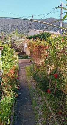 Sweet villa view 26