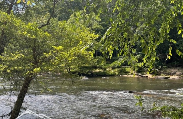 Sweet Water Retreat- 2/2 River Front, dog friendly, HOT TUB