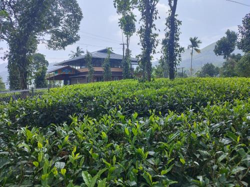 Sylora Meadows Pool Villa ,Vagamon