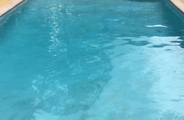 T-house C 2/2.5- 3 beds, in Wellington Shared pool