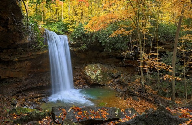 🍁 Tail Trails Getaway – Pet-Friendly Autumn Retreat surrounded by Trees 🌲🔥☕
