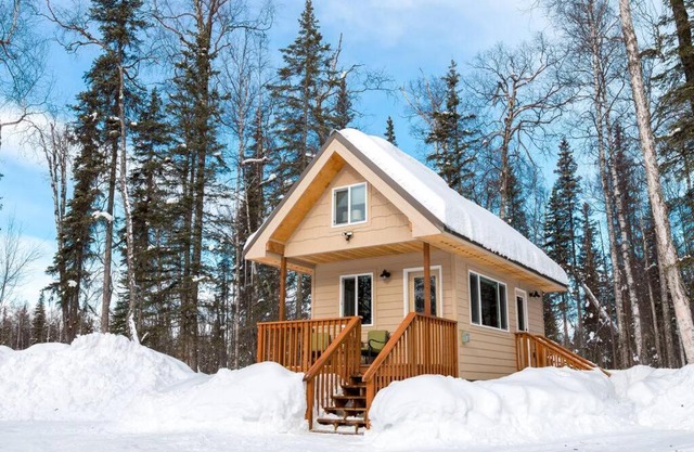 Talkeetna Tiny House Cabin *Sauna* Near ski/lake