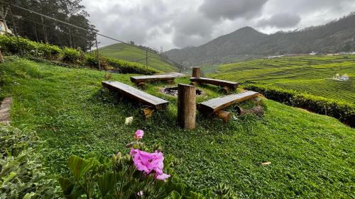 Tea Leaf Stays by Brown Tree Resorts