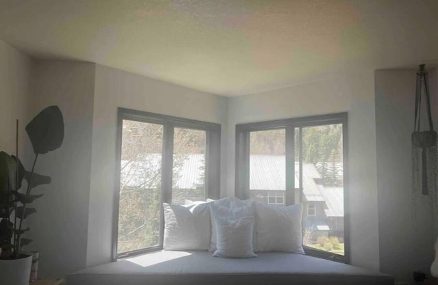 Telluride Viking Condo with River and Mountain Views!