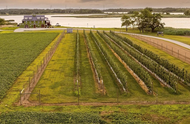 Tentrr Signature Site - Thousand Acre Farm Waterfront Farm