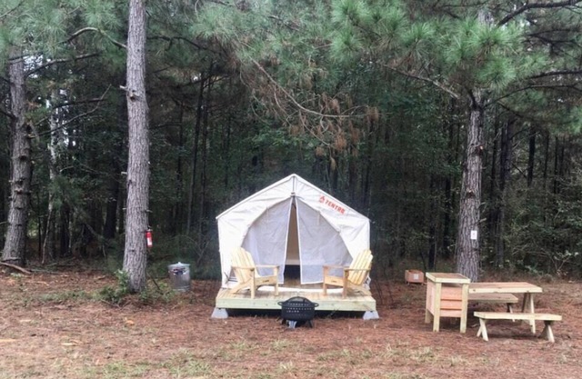 Tentrr Signature Site - HFR Campsite in the Davey Crockett National Forest #1