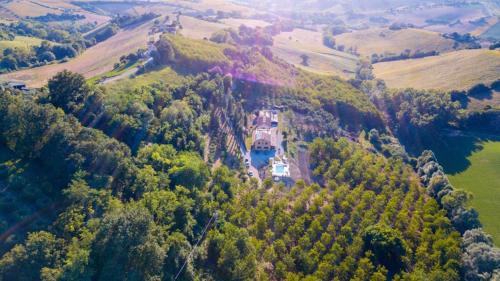Tenuta Fonte Mosco'