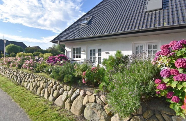 Terpstich 136, Deutschland