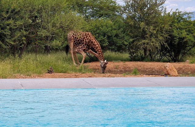 Thandolwami Bush Lodge & Spa