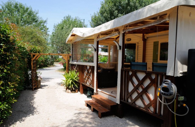 The Agapanthes at the Pins Maritimes **** campsite in Hyères