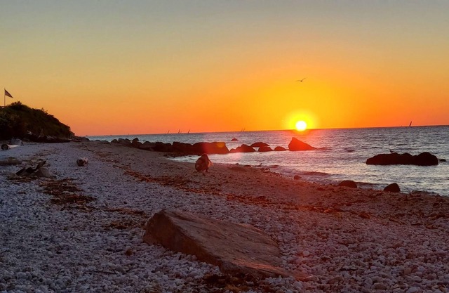 The Beach House - North Fork