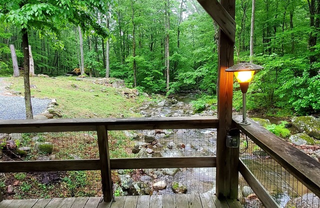 The Black Bear Lodge