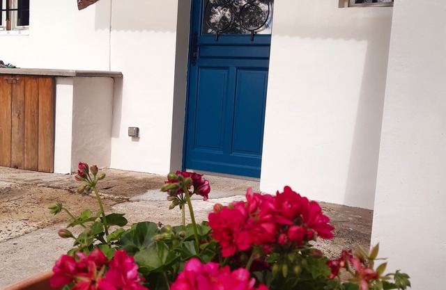 The blue house