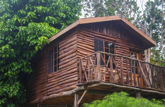 The Blue Mahoe Treehouse