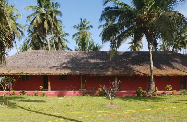The coconut plantation of Assinie