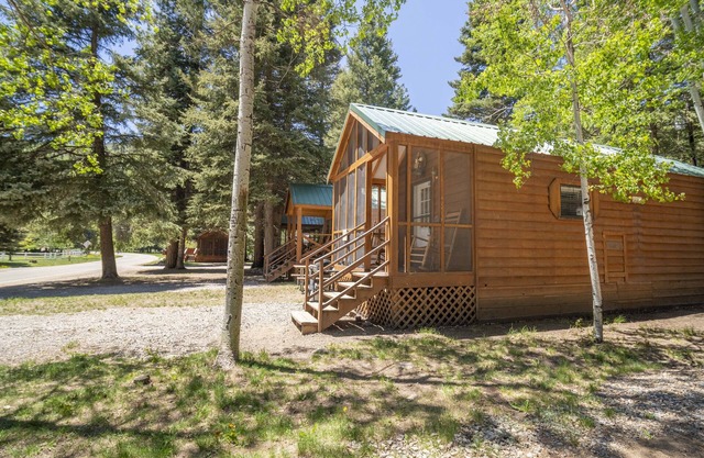 The Colorado Spruce Cabin #15