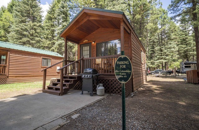 The Columbine Cabin #9