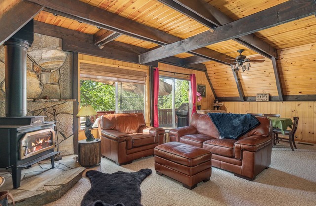The Cozy Cub: Air Conditioning, Dog Friendly, Pool Table, Private Lakes in BLS