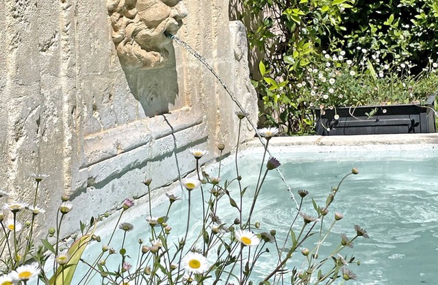 The famous "Le Petit Chateau Salernes"