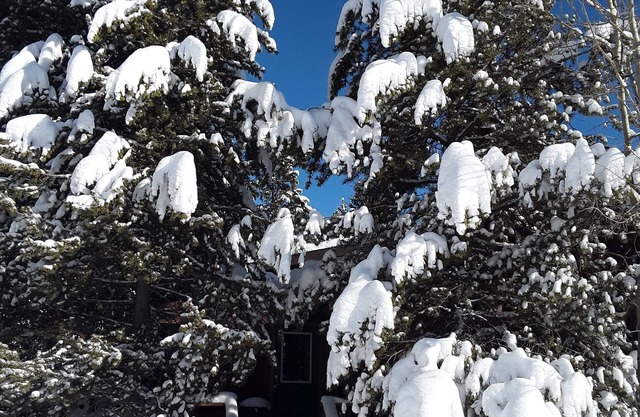 The Firehole Cabin 418: Where Yellowstone Grandeur Meets Unrivaled Comfort
