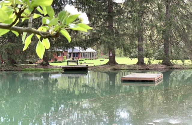 The Game Cabin at Rustic River Retreats-fun wine country getaway!