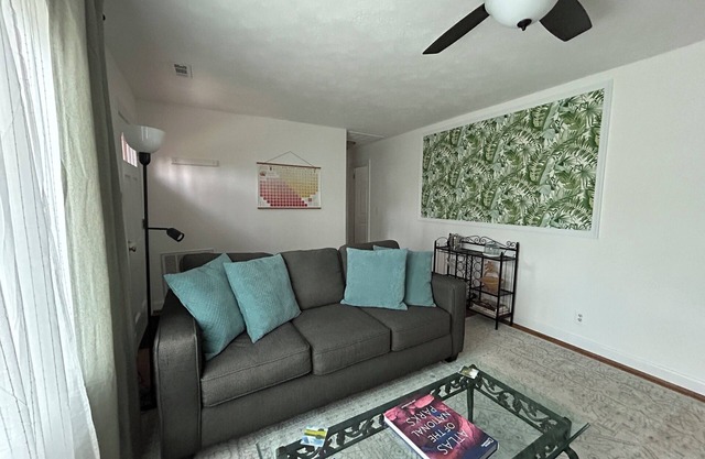 The Grove: Comfy living in Cville Brand New!