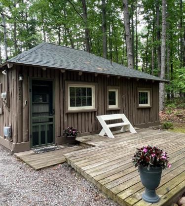 The Higgins Lake Hideaway - Super Cute!