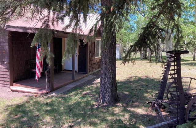 The Little Cabin at Aspenglade Greer AZ