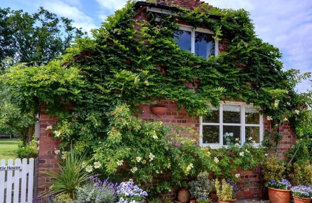 The Little House in the beautiful Cranbrook