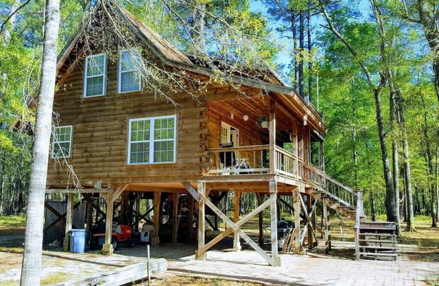 The Log Cabin on the Canoochee River