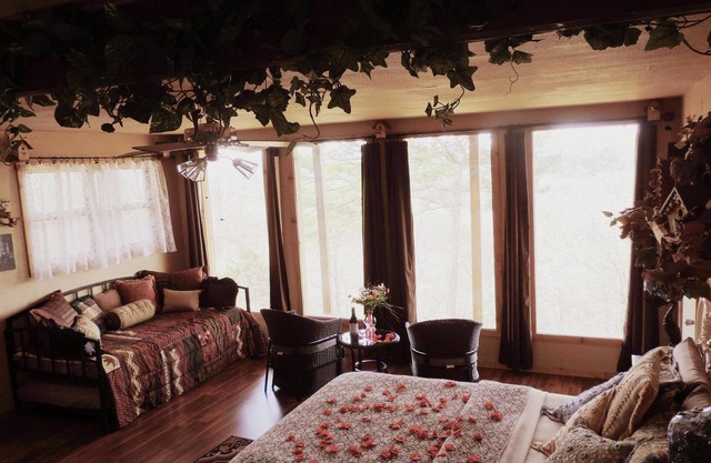 The Nest at 188 is a unique lodging/retreat located in Eureka Springs, Arkansas.
