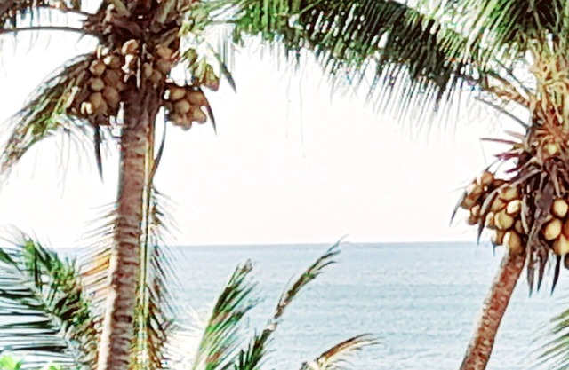 The Ocean Villa