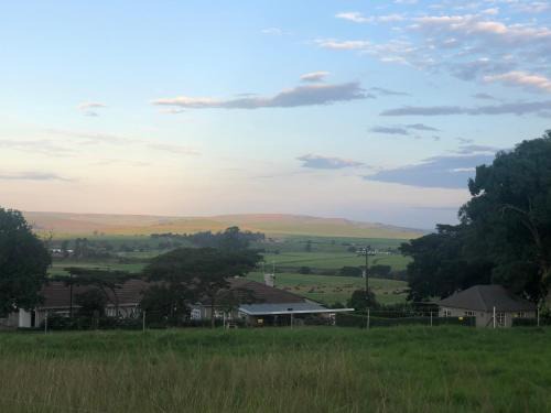 The Pastures