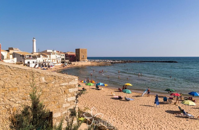 The pink liberty house.
