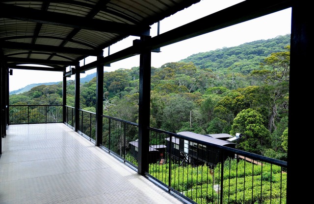 The Rainforest Ecolodge