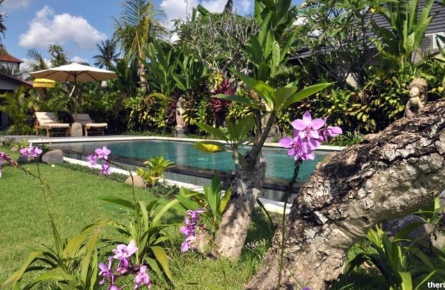 The Runik Hidden Escape Near Center of Ubud