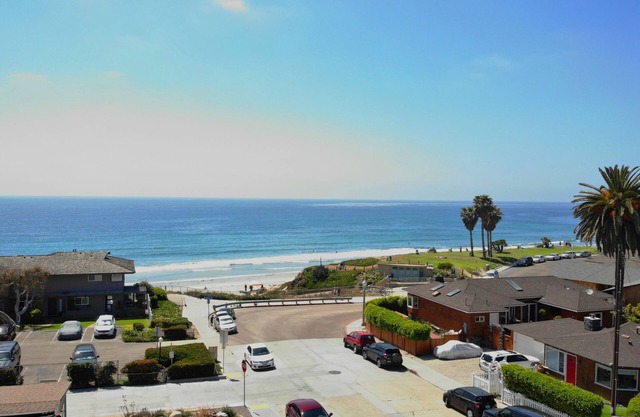 The Shark - Pacific Beach