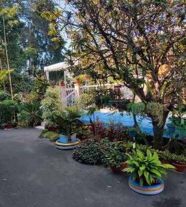 The Shire Kalimpong