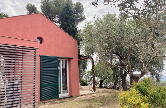 the silence among the olive trees, on a hill overlooking the sea