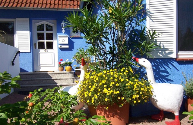 The small villa with charm