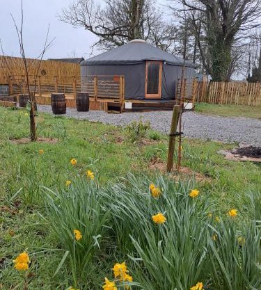The Snowdrop