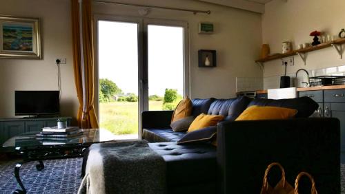The Tin Shed