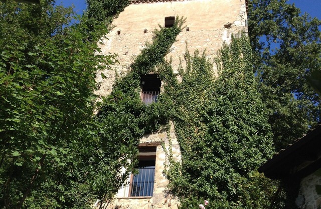 The Tower in 16th Century Borgo Fontanini - with mountain views