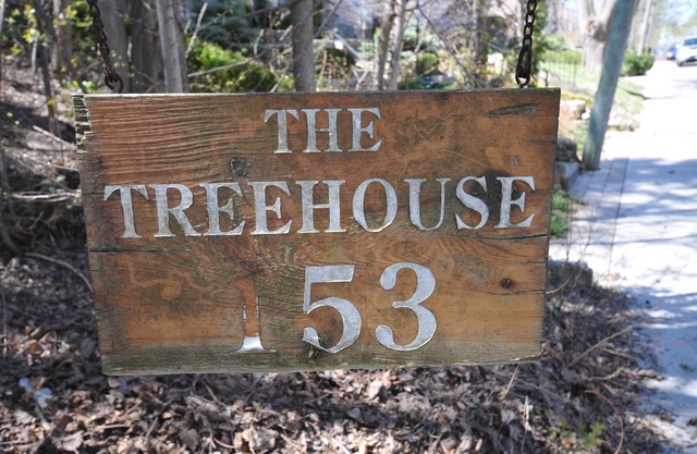 The Tree House ~ Lower Level