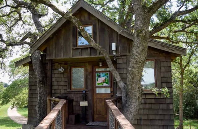 The Treehouse