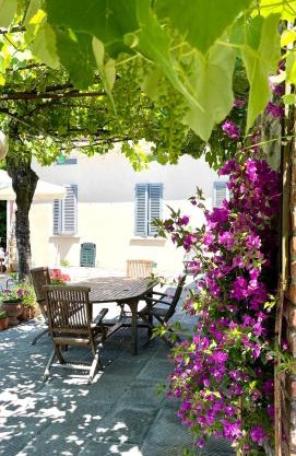 The Tuscany Rose