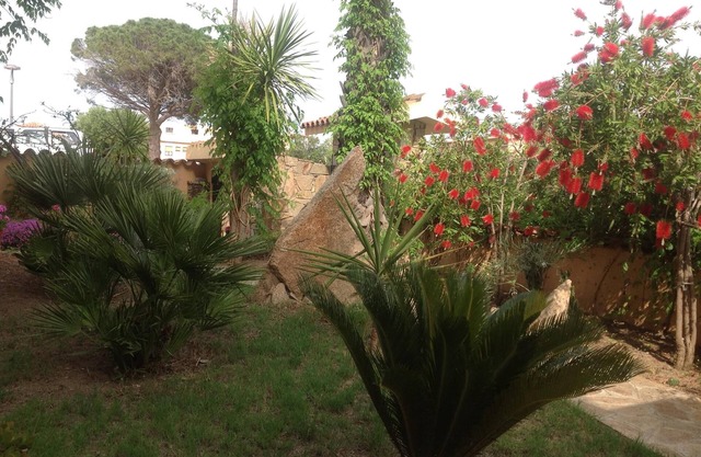 The two palms from Angelo the cove n2