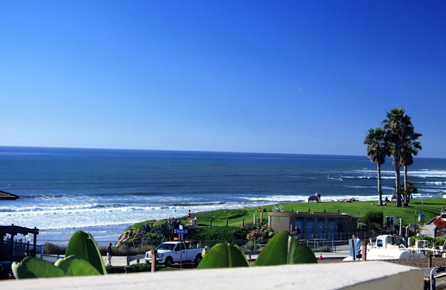 The Whale Ocean View Pacific Beach