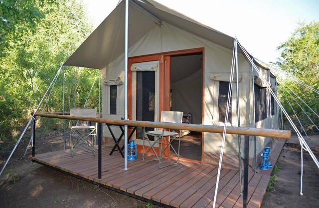 The Wild Olive Tree Camp